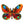 Alona Butterfly