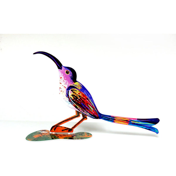 Curious Bird 2