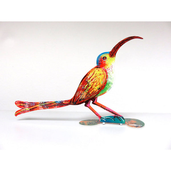 Curious bird
