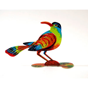 Friendly bird