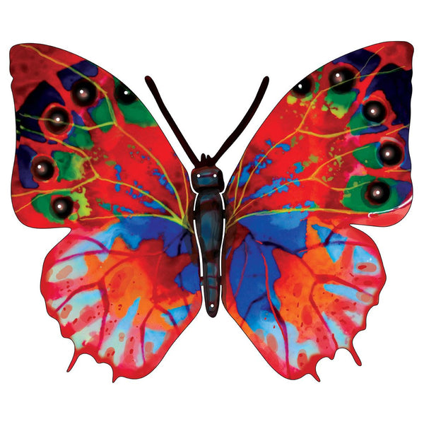 hadar butterfly side A