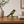 Thinking Bird