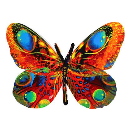 Alona-Schmetterling