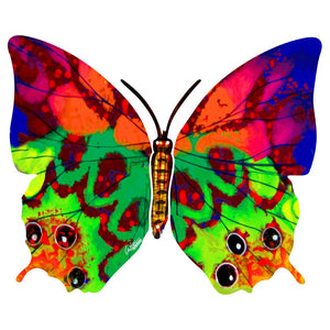 Hava butterfly side A