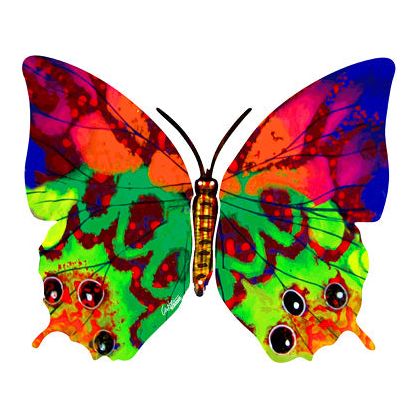 Hava-Schmetterling